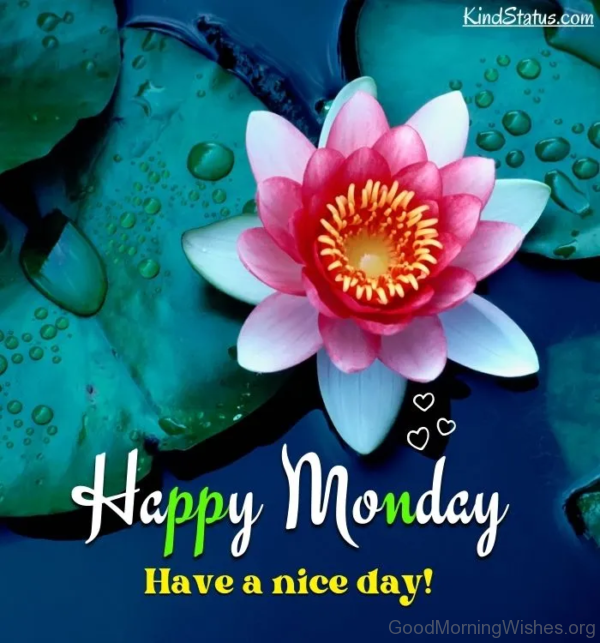 Happy Monday