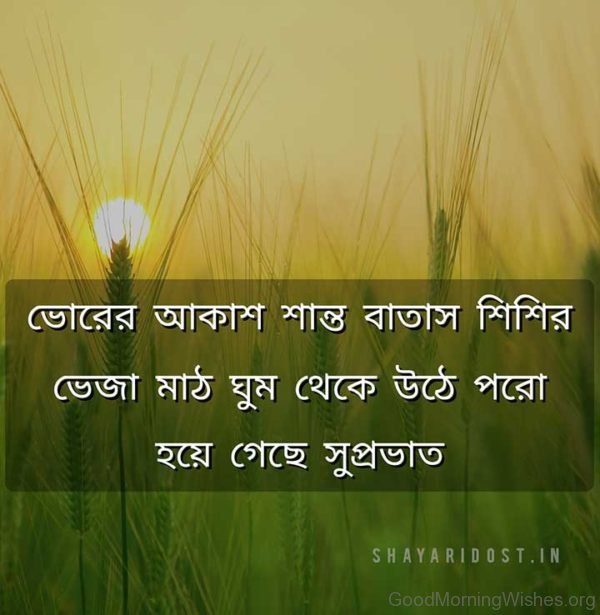 Supravat Quotes In Bengali