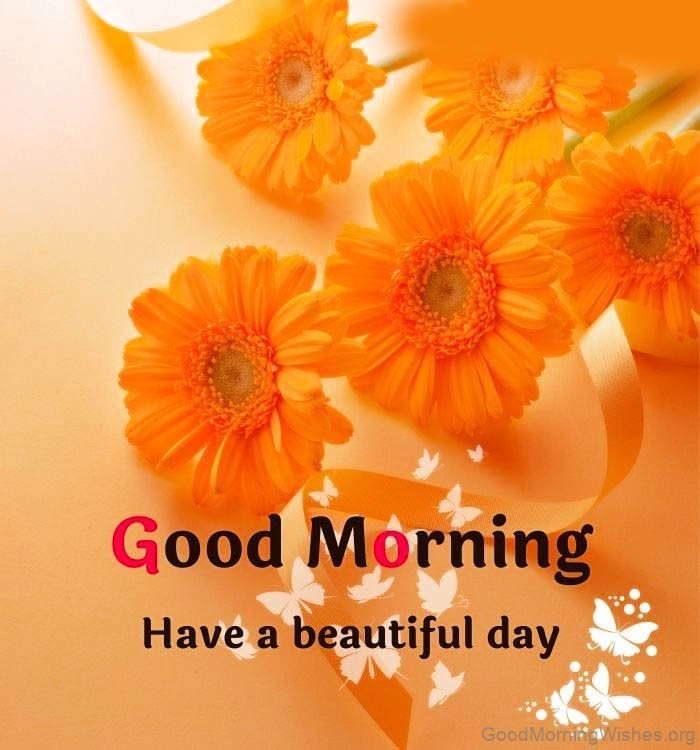 53 Good Morning Wishes with Flowers - Good Morning Wishes