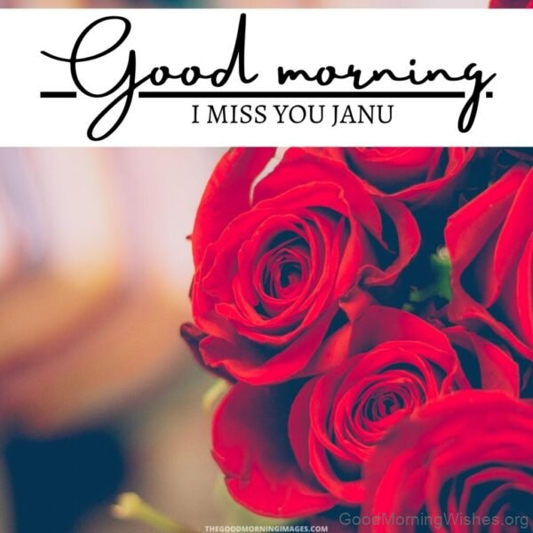 Good Morning Janu 