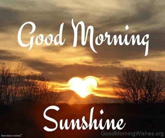 Good Morning My Love
