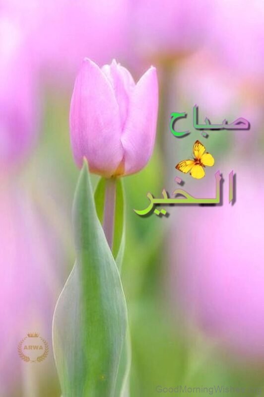 Arabic Good Morning