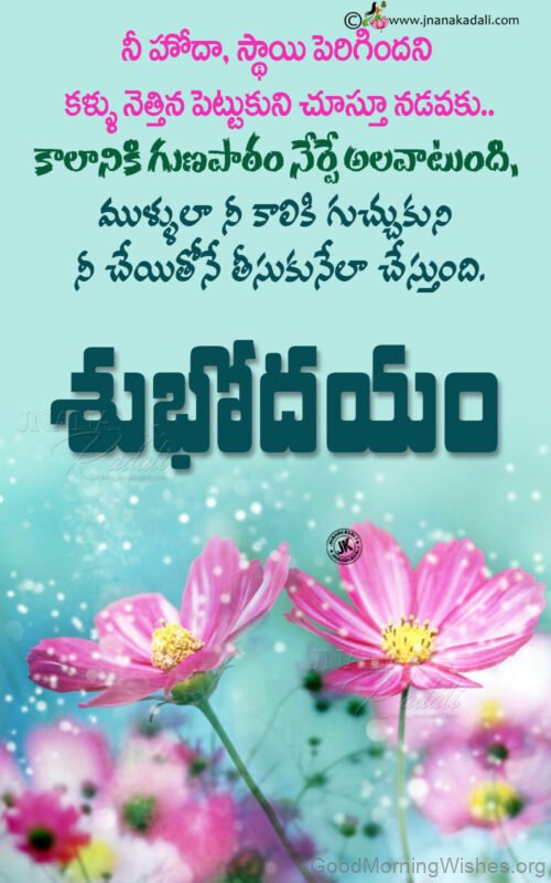 Famous Telugu Good Morning Quotes