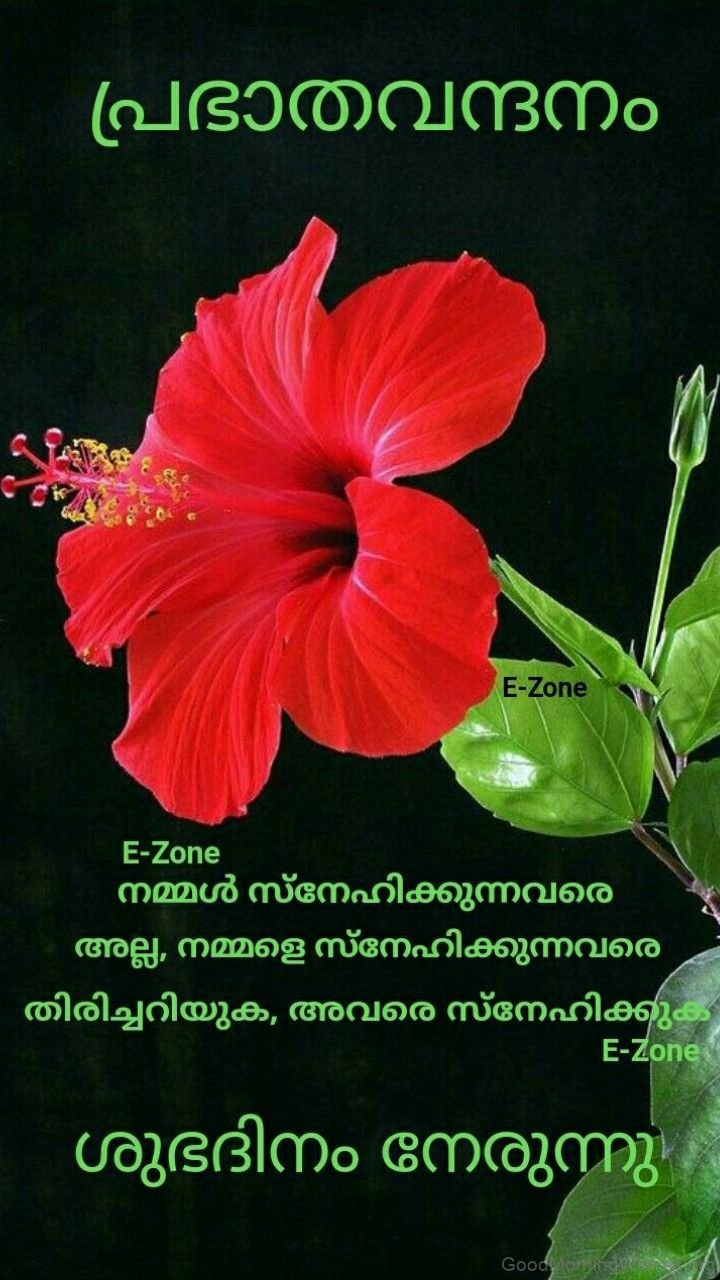 48 Good Morning Wishes in Malayalam - Good Morning Wishes