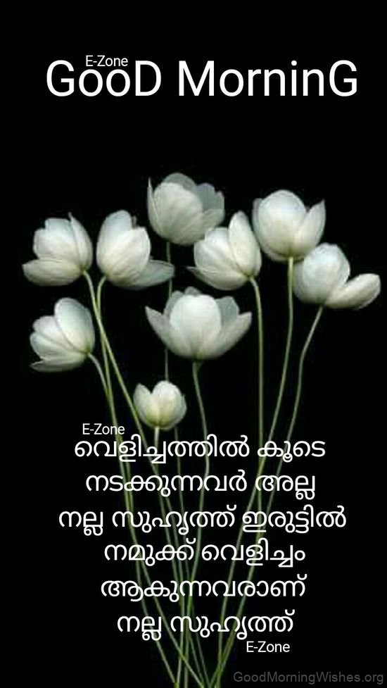 48 Good Morning Wishes in Malayalam - Good Morning Wishes