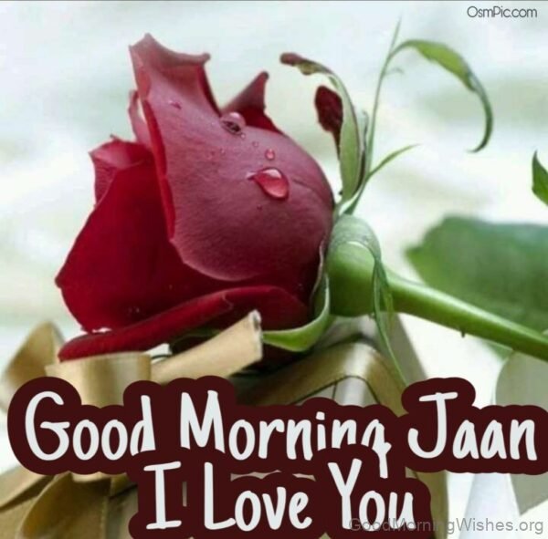 Good Morning