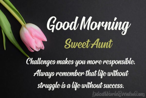 Good Morning Aunt Wishes Messages