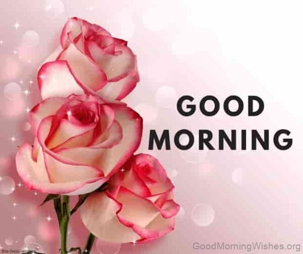 Good Morning Awesome Pic