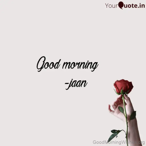Good Morning Jaan (copy 1)