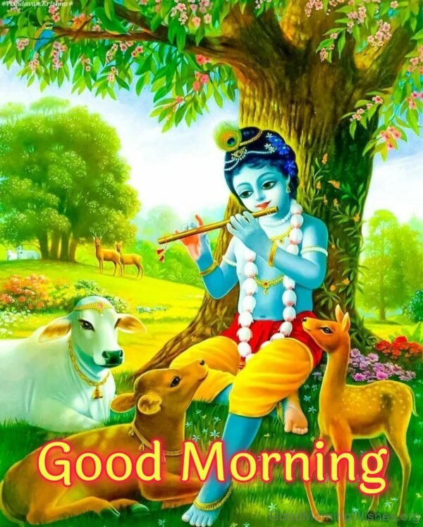 Good Morning Krishna