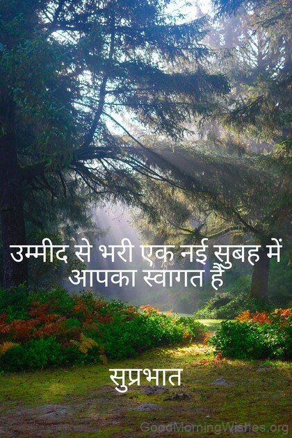 Good Morning Quote