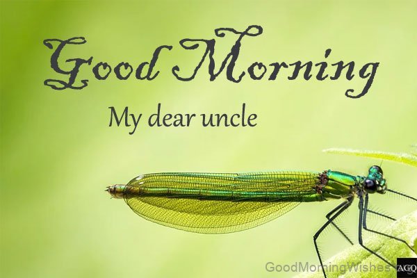 Good Morning Uncle Pics