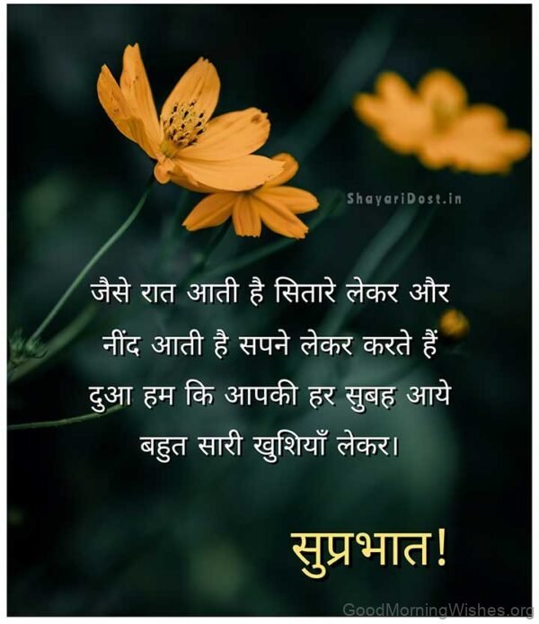 45 Good Morning Hindi Shayari Wishes - Good Morning Wishes