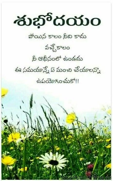 Telugu Good Morning
