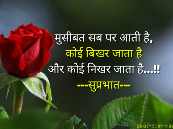 Whatsapp Good Morning