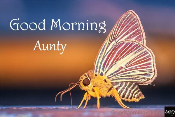 Aunty Good Morning Images