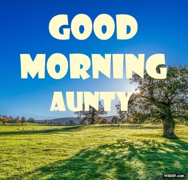 Good Morning Aunty Picture