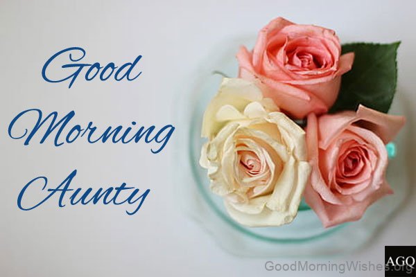 Good Morning Aunty With Beautiful Roses Images