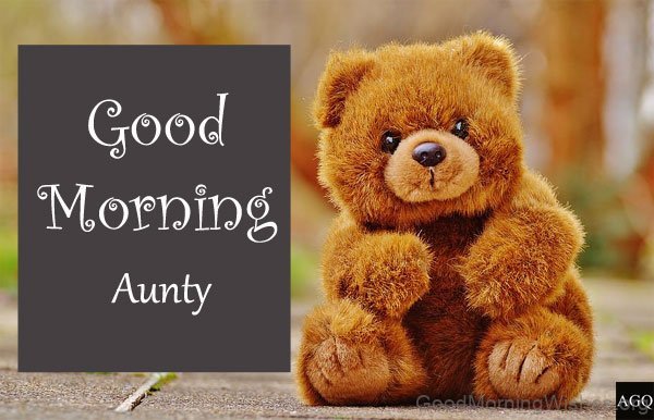 Good Morning Aunty With Teddy Bear Photo