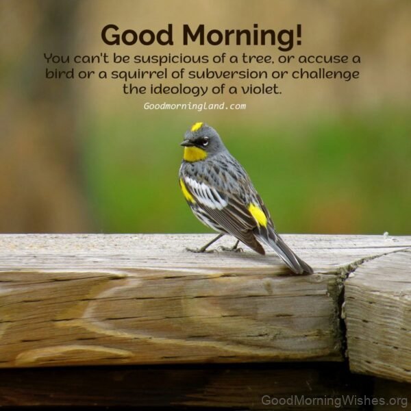 Awesome Good Morning Birds Message Pic