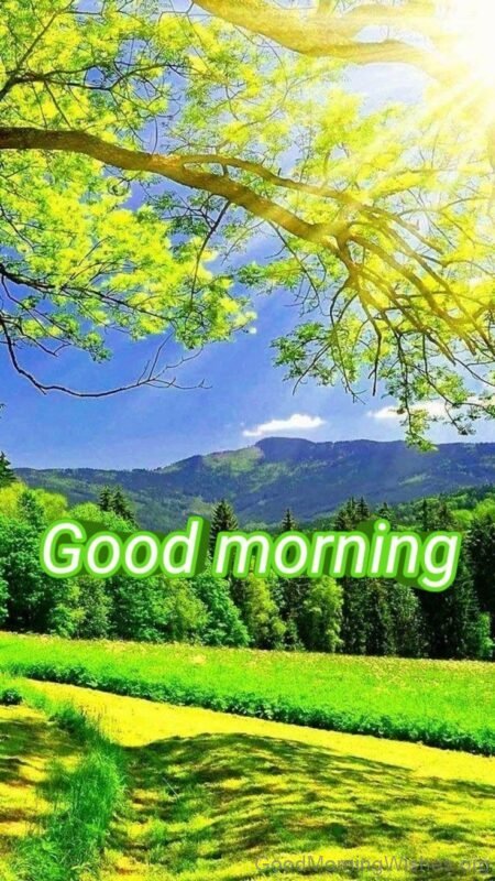 81 Good Morning – Nature - Good Morning Wishes