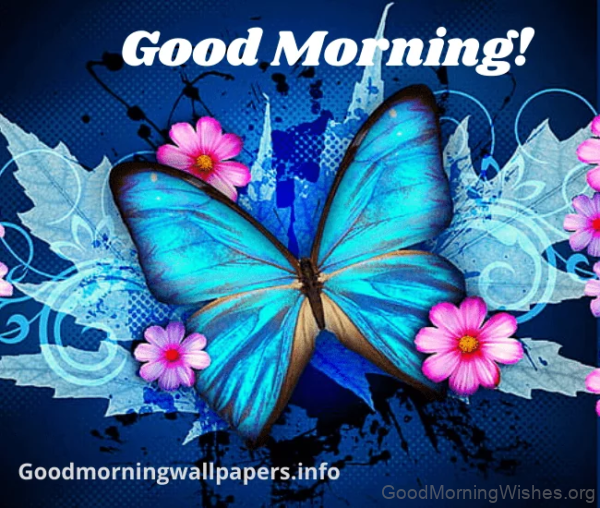 Blue Butterfly Good Morning Images