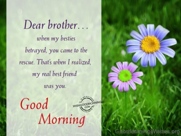 Dear Brother A Very Good Morning Status