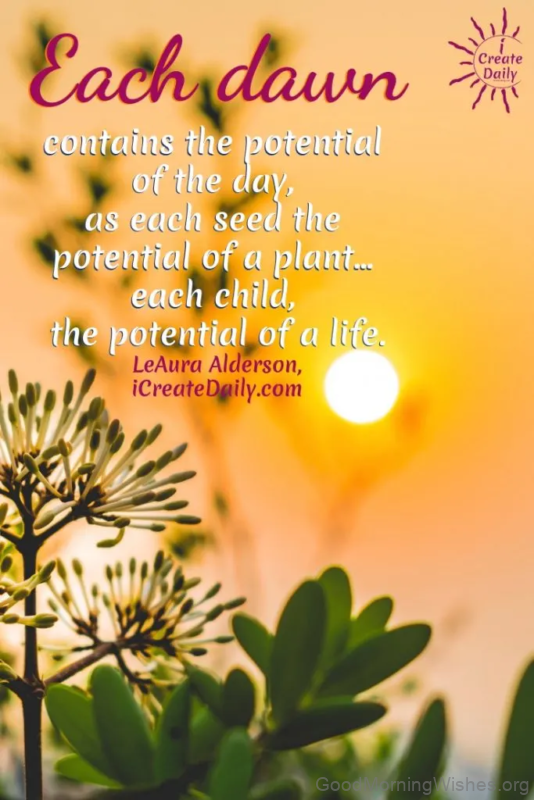 Each Dawn Contains Potential Of Life Good Morning Photo