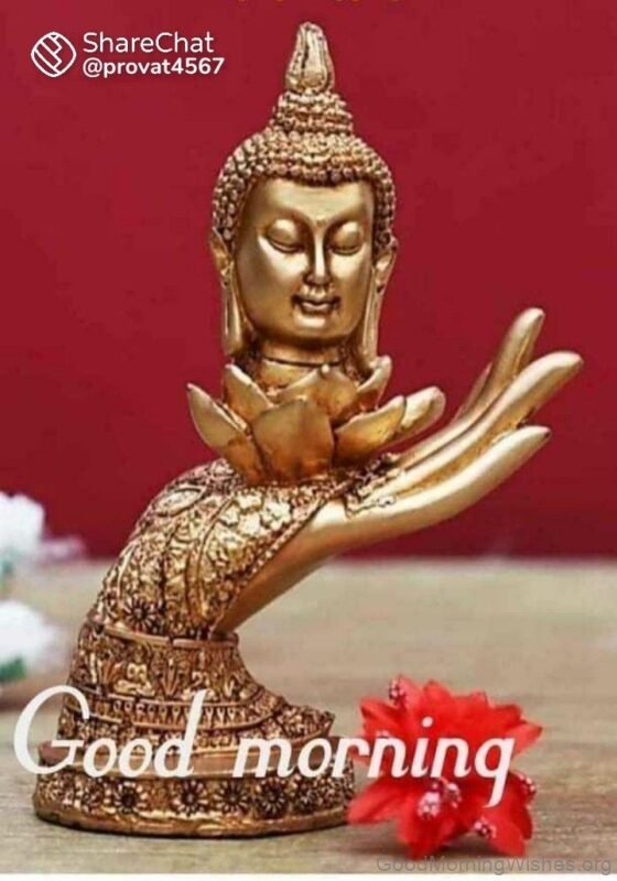 Golden Buddha Good Morning Pic