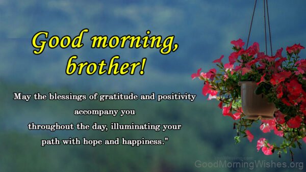 Good Morning Brother With Lots Of Blessings Status