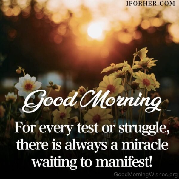 Good Morning Every Test Or Struggle,there Is Always Miracle Status