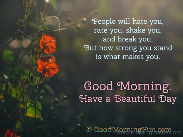 Good Morning Have A Beautiful Day Status