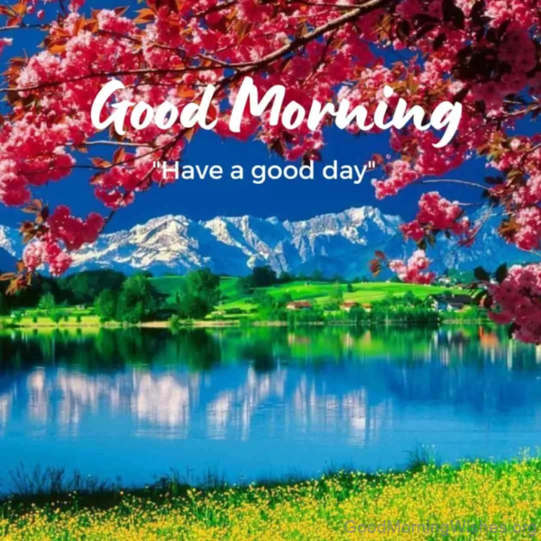 Good Morning Have A Good Day Status