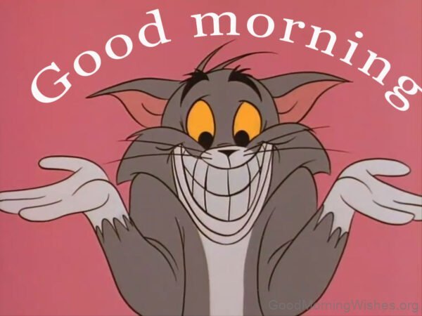 Good Morning Have A Great Day Pic