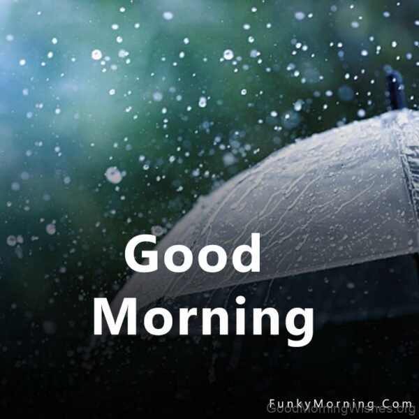 Good Morning Rainy Day Image