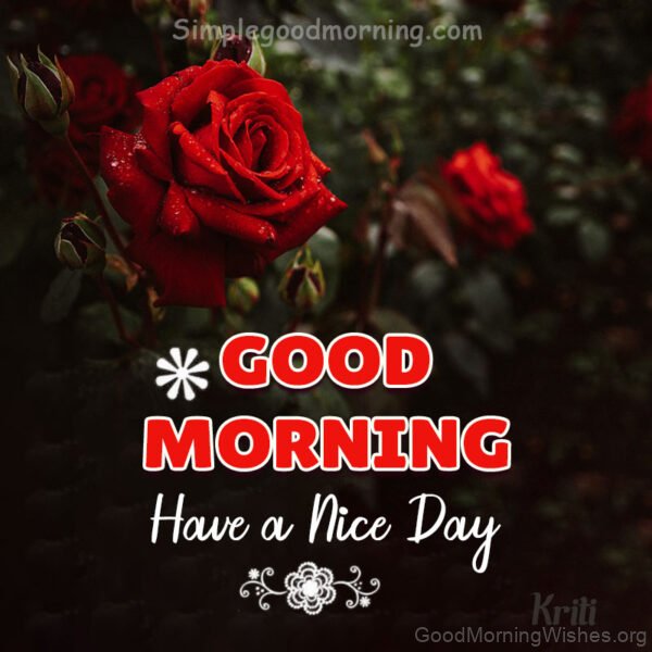 Good Morning Red Rose Have A Nice Day Photo