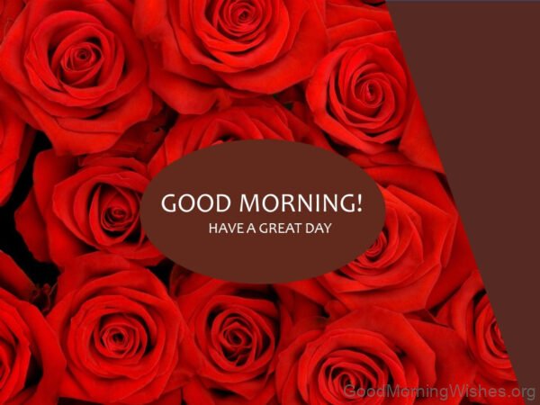 Good Morning Rose Have A Great Day Status