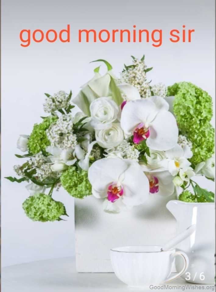 30+ Good Morning Wishes For Sir - Good Morning Wishes
