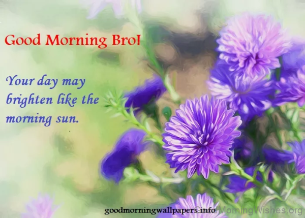 Good Morning Sweet Bro Your Day May Brighten Like The Morning Sun Image
