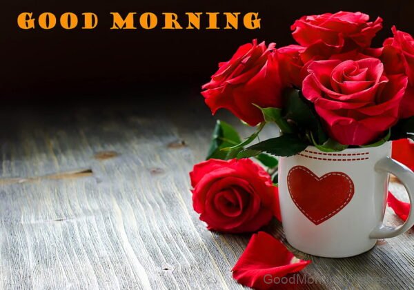 Good Morning With Adroable Red Rose Image