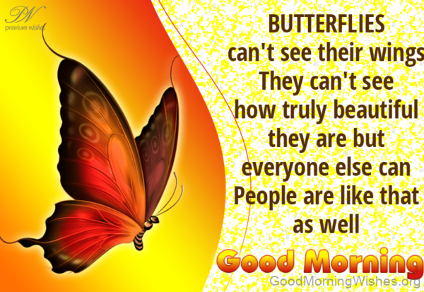 Good Morning With Orange Butterfly Status
