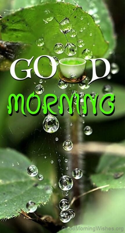 Good Morning With Rain Dew Image