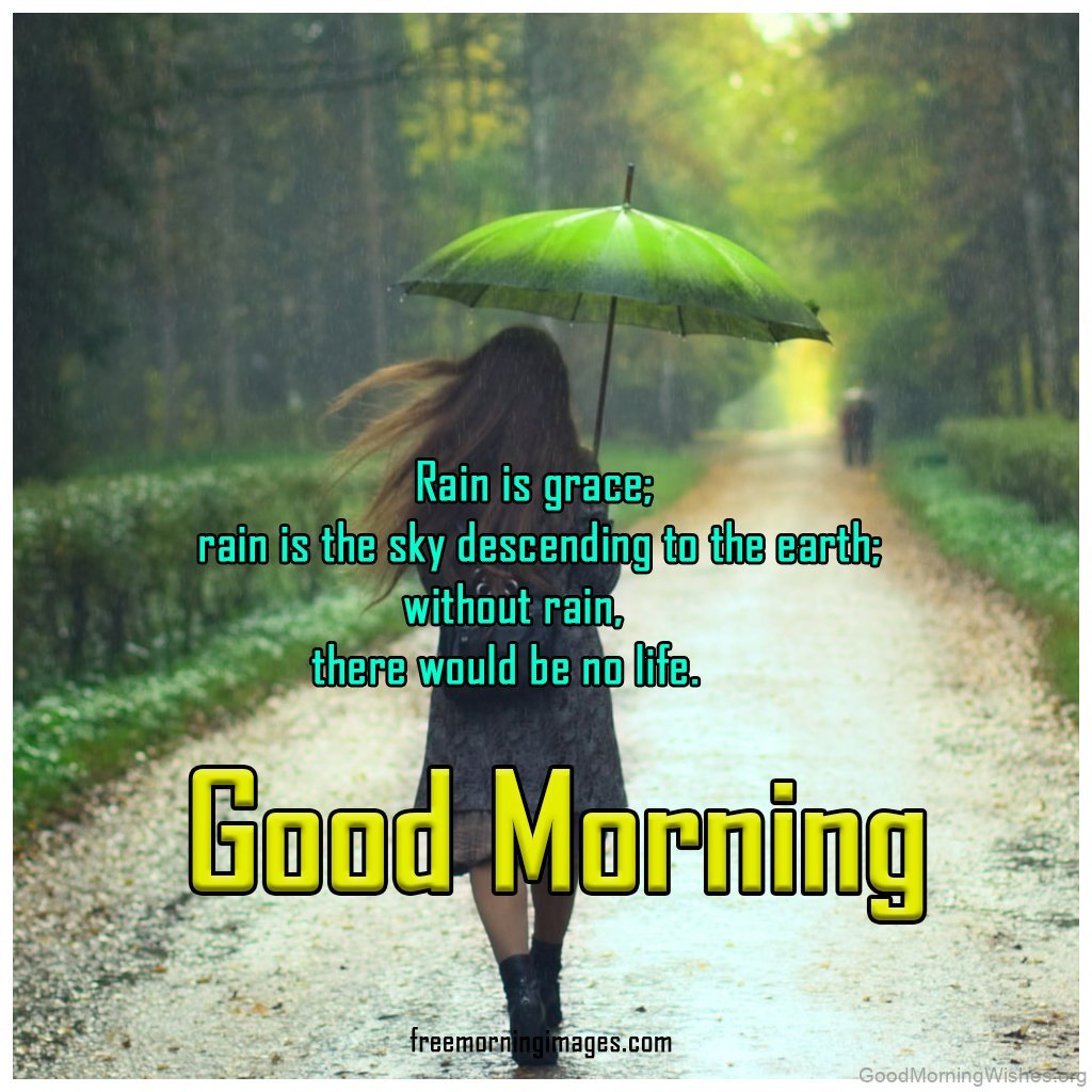 45+ Good Morning Wishes Rain Images - Good Morning Wishes