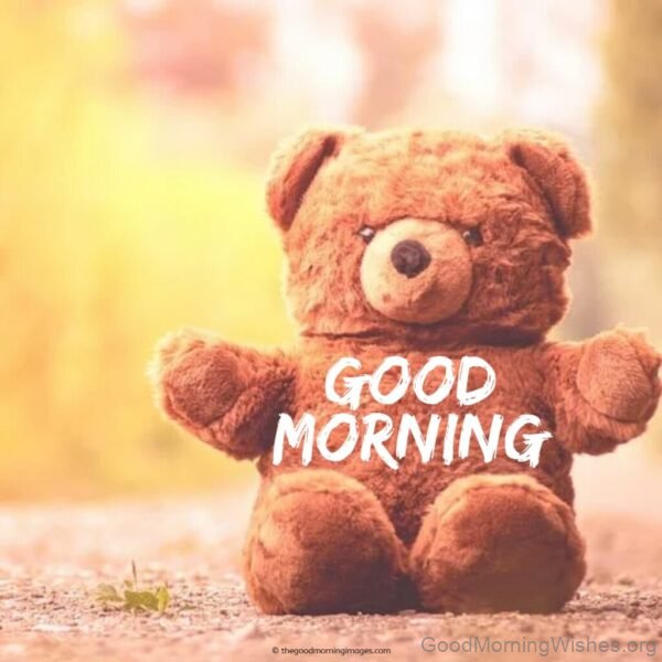 Good Morning With Teddy Bear Status