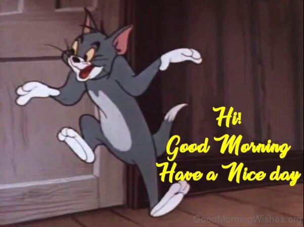 Hi Good Morning Have A Nice Day Status
