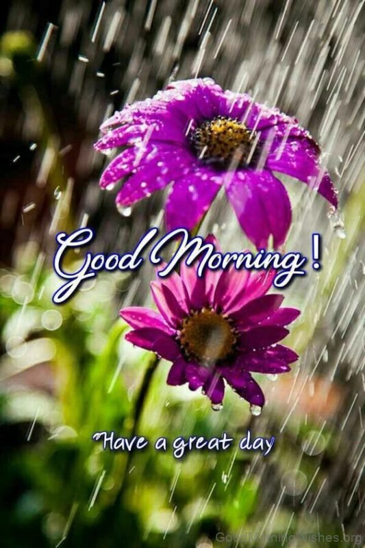Rainy Good Morning Have A Great Day Photo Images