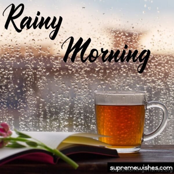 Rainy Morning Photo