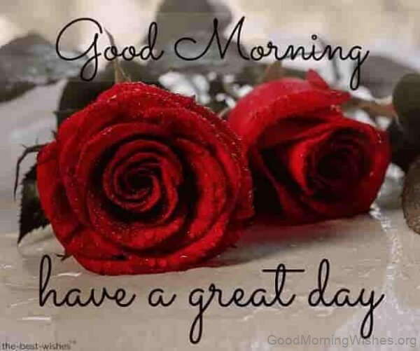 Red Rose Good Morning Have A Great Day Status