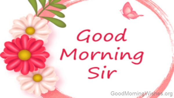 Sir Good Morning Have A Adorable Day Status