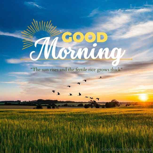 25+ Sunrise Good Morning Wishes - Good Morning Wishes